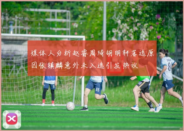 媒体人分析赵睿周琦胡明轩落选原因张镇麟意外未入选引发热议