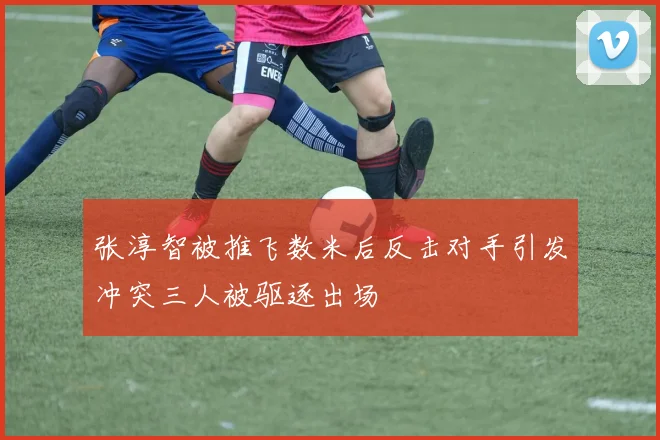 张淳智被推飞数米后反击对手引发冲突三人被驱逐出场